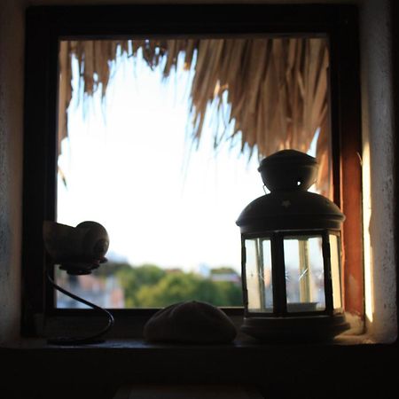 Amaranto Bed And Breakfast Cozumel Buitenkant foto