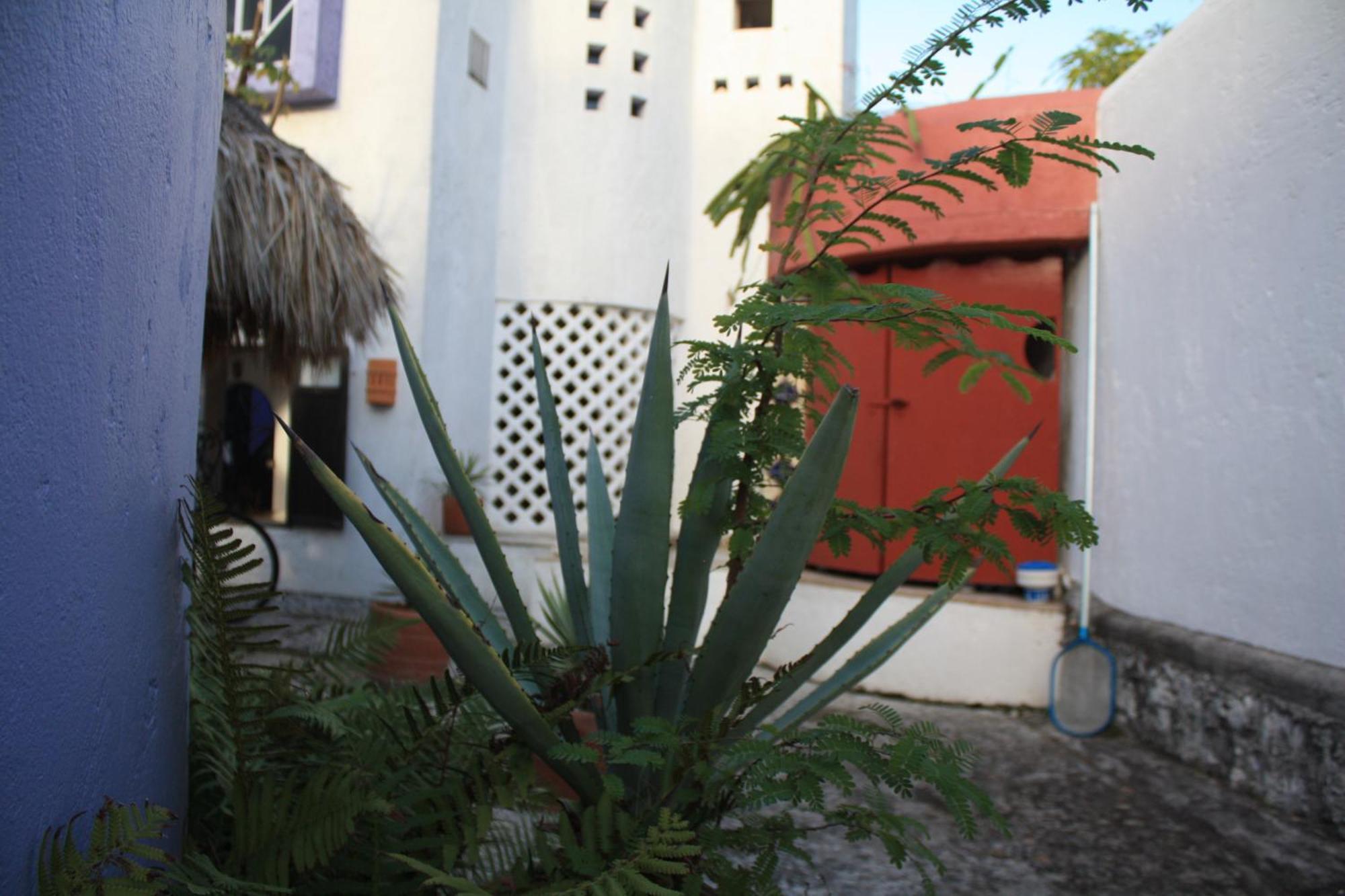 Amaranto Bed And Breakfast Cozumel Buitenkant foto