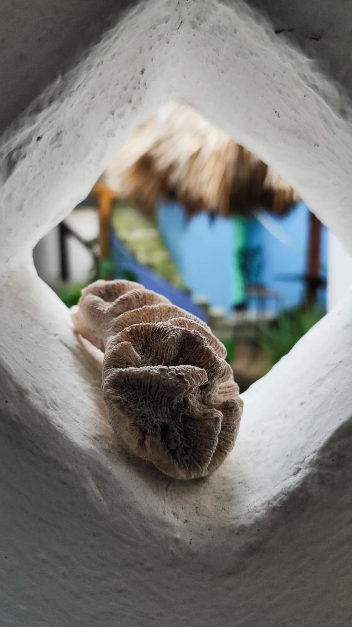 Amaranto Bed And Breakfast Cozumel Buitenkant foto