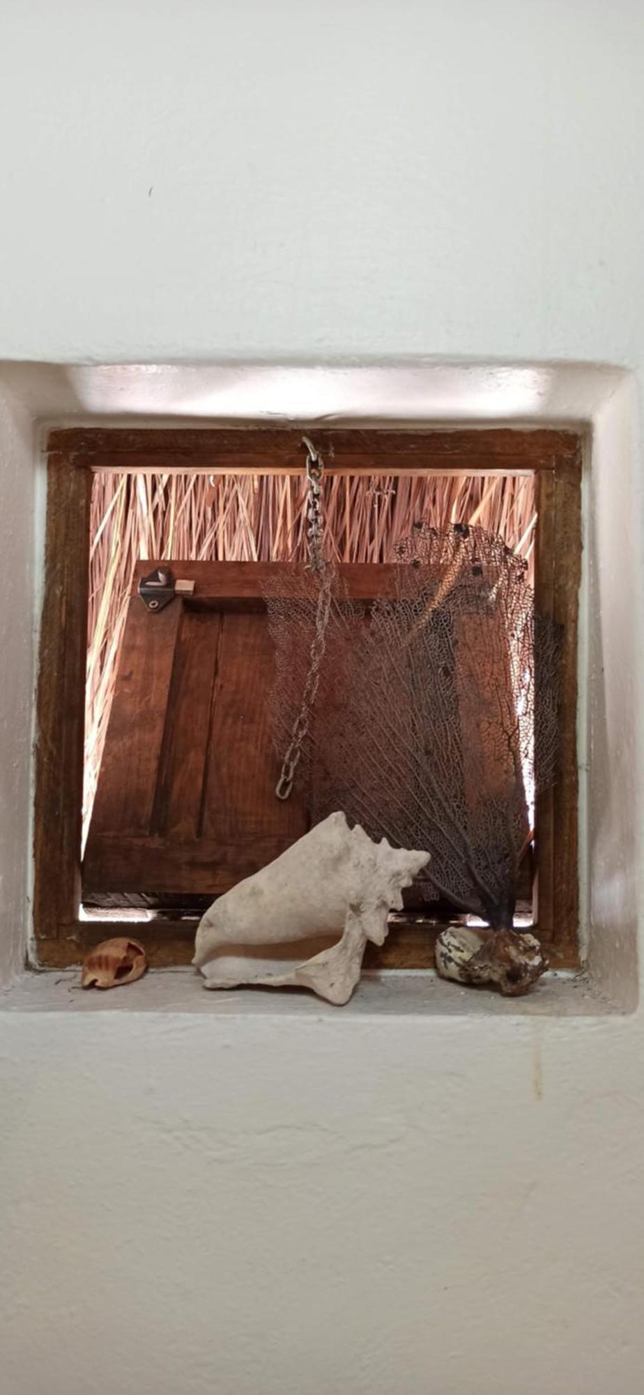 Amaranto Bed And Breakfast Cozumel Buitenkant foto