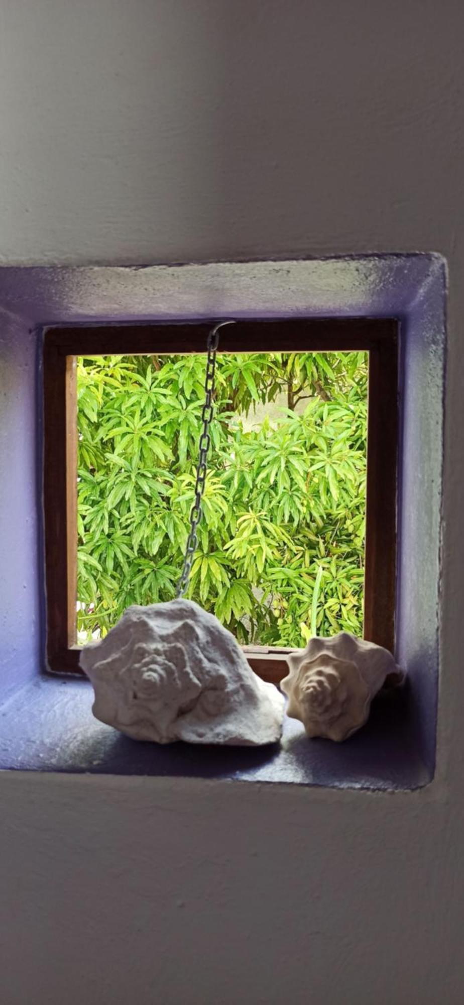 Amaranto Bed And Breakfast Cozumel Buitenkant foto