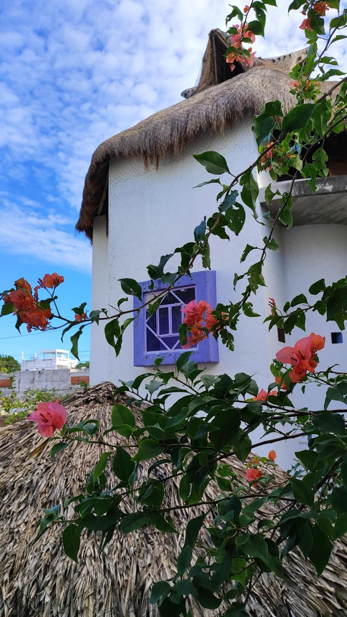 Amaranto Bed And Breakfast Cozumel Buitenkant foto