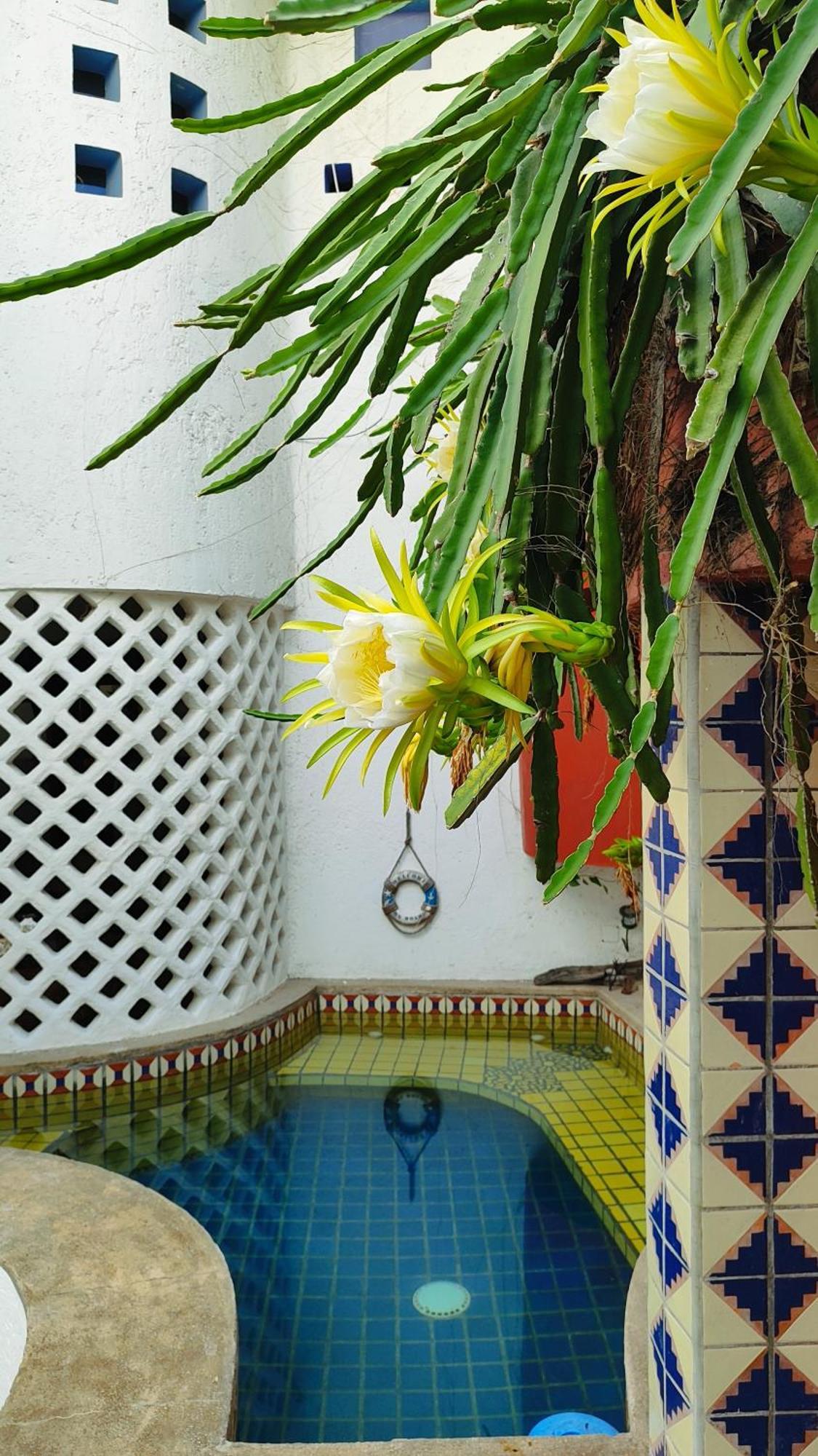 Amaranto Bed And Breakfast Cozumel Buitenkant foto
